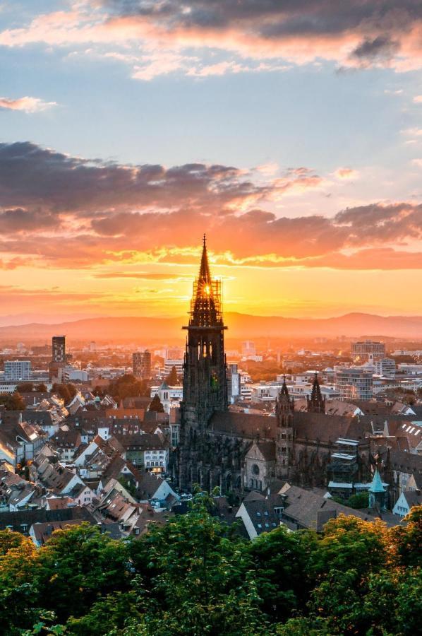 Luxus Apartment Ludwigxv Freiburg im Breisgau Luaran gambar