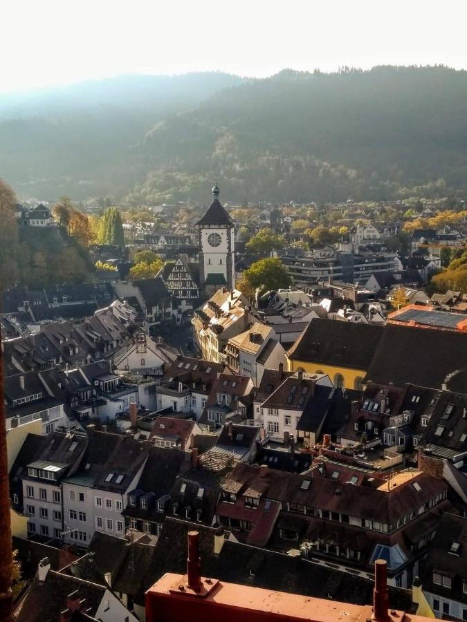 Luxus Apartment Ludwigxv Freiburg im Breisgau Luaran gambar